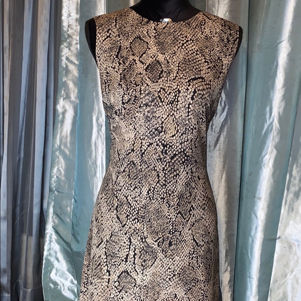 Chaus Dress